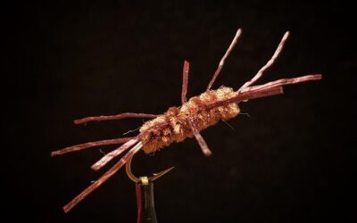 Big Sky Anglers Featured Fly – Brown Rubber Legs