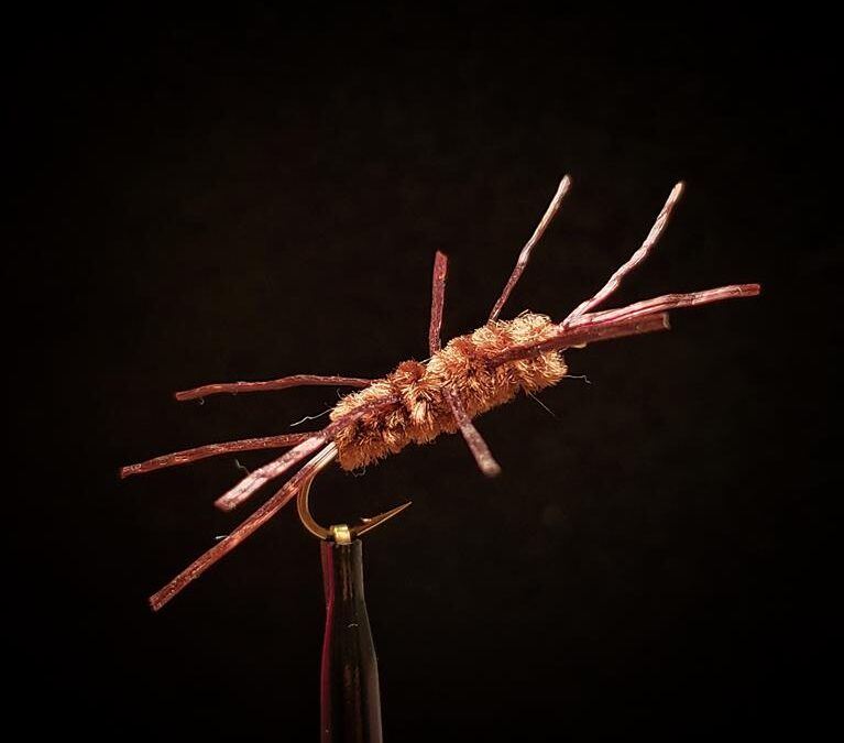 Big Sky Anglers Featured Fly – Brown Rubber Legs