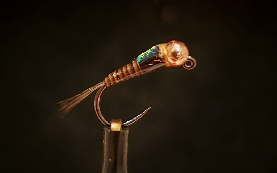 Big Sky Anglers Featured Fly – SR Spanish Bullet Quill Nymph