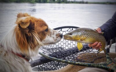 Big Sky Anglers Weekly Fishing Report – July 11, 2019