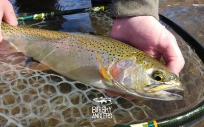 Big Sky Anglers Weekly Fishing Report – August 8, 2019