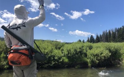 Big Sky Anglers Weekly Fishing Report – August 1, 2019