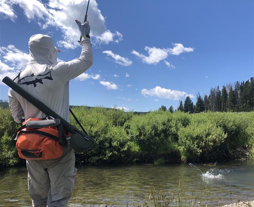 Big Sky Anglers Weekly Fishing Report – August 1, 2019