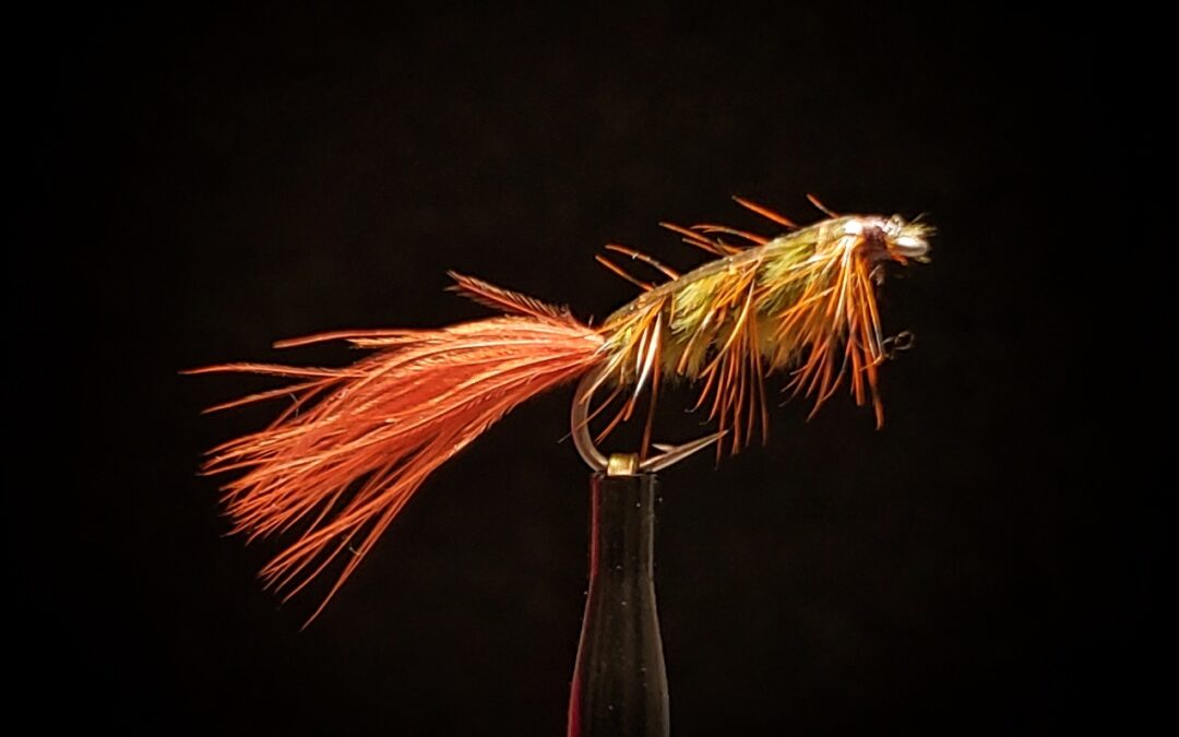 Big Sky Anglers Featured Fly – Rickards’ Stillwater Nymph
