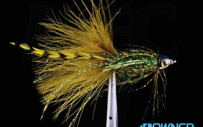 Big Sky Anglers Featured Fly – Chou’s Fortune Cookie