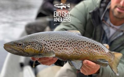 Convert the Bump – Three Quick Tips to Up Your Streamer Game