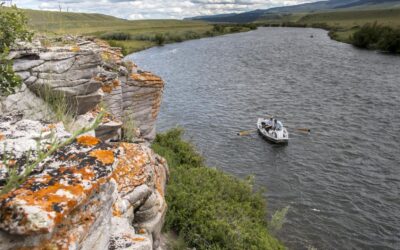 FWP News Release – Scoping Process Begins for Madison River Alternatives