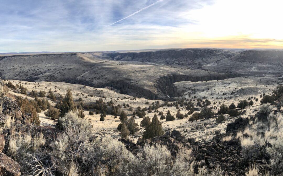 Chukar Camp