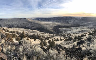 Chukar Camp