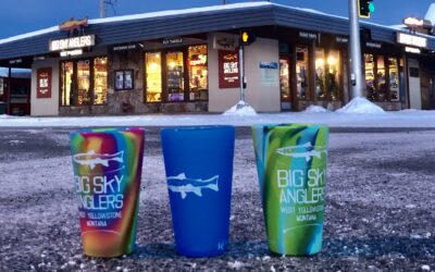 12 Days of Christmas – Day Eleven – BSA Sili Pint Set
