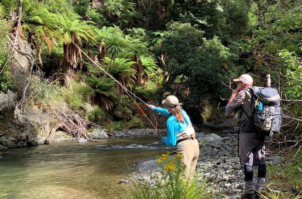 Big Sky Anglers / Category 3 Fly Company – NZ Essentials Fly Selection