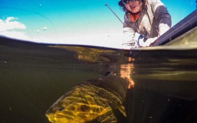 Argentina Fishing Report – Golden Dorado in the North