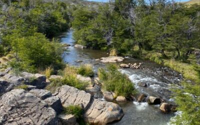 Argentina Fishing Report – Estancia Tecka