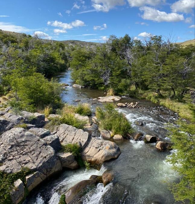 Argentina Fishing Report – Estancia Tecka