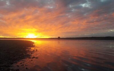Argentina Fishing Report – Rio Grande Sea Trout