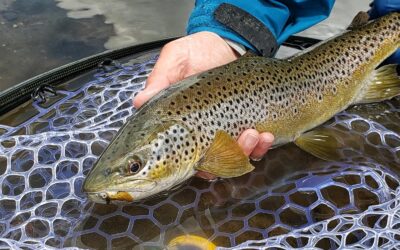 Big Sky Anglers Fishing Report – May 21, 2020