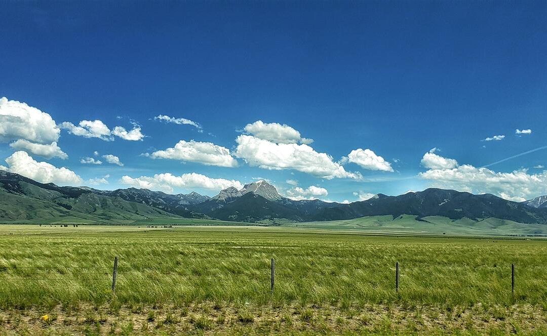 Late June in the Rockies