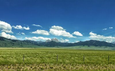 Late June in the Rockies