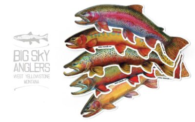 BSA Exclusive – Mimi Matsuda Pine Panel Trout Decals
