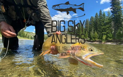 Big Sky Anglers Weekly Fishing Report 7/30/2020