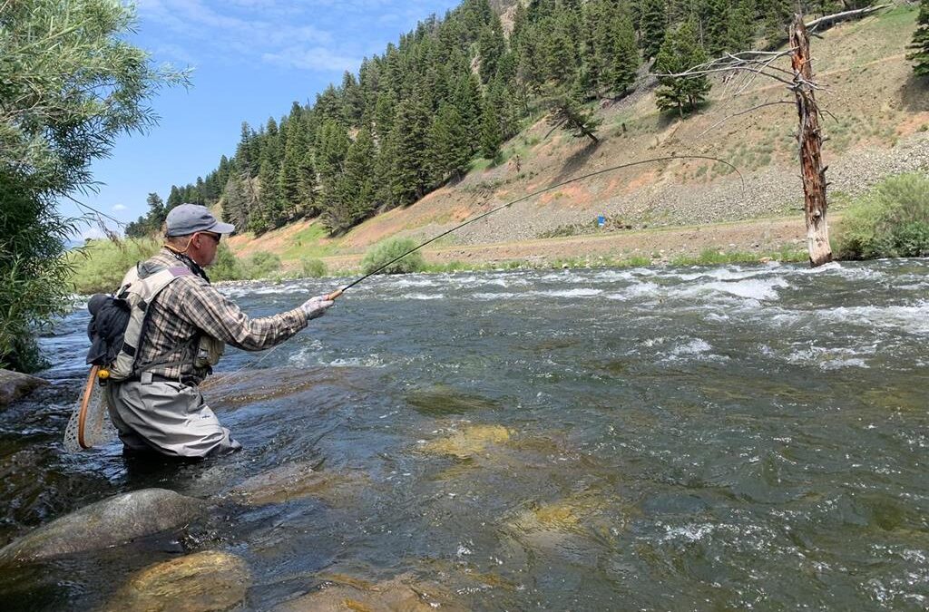 Big Sky Anglers Weekly Fishing Report 8/6/2020