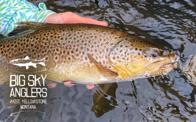 Big Sky Anglers Weekly Fishing Report – 5/27/2021