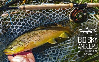 Fall 2020 Trout Spey Update