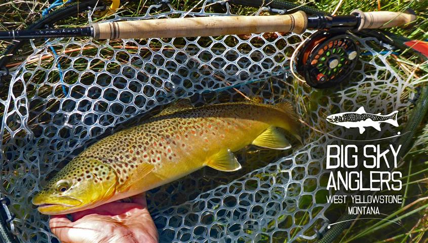 Fall 2020 Trout Spey Update