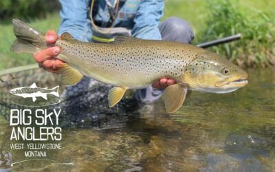 Big Sky Anglers Weekly Fishing Report – 6/3/2021