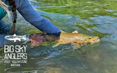 BIG SKY ANGLERS WEEKLY FISHING REPORT – 7/1/2021