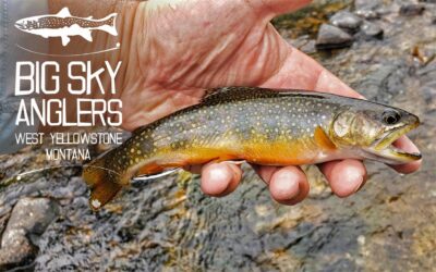 Big sky anglers weekly fishing report – 7/15/2021