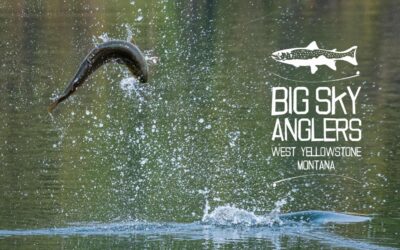 BIG SKY ANGLERS WEEKLY FISHING REPORT – 9/9/2021