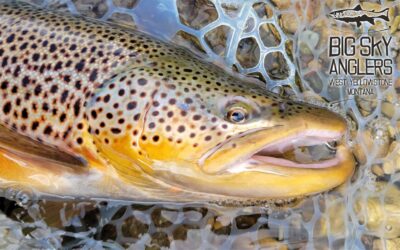 BIG SKY ANGLERS WEEKLY FISHING REPORT – 9/23/2021