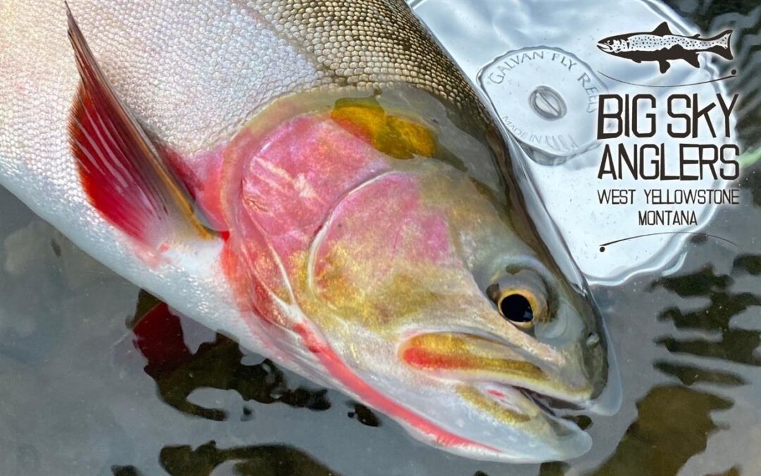 BIG SKY ANGLERS WEEKLY FISHING REPORT – 9/30/2021