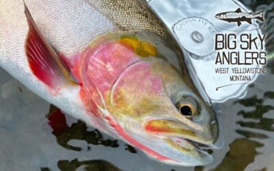 BIG SKY ANGLERS WEEKLY FISHING REPORT – 9/30/2021