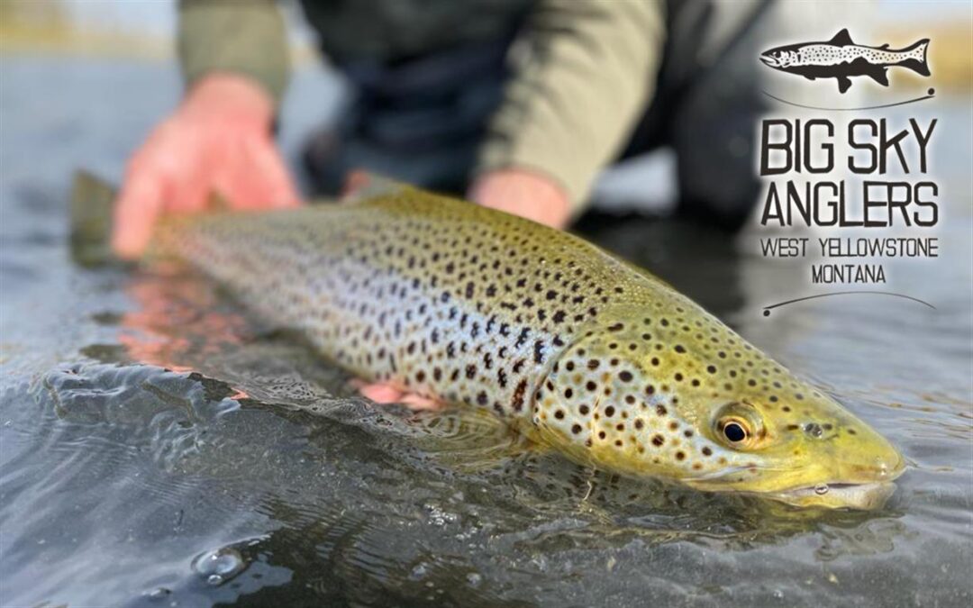 BIG SKY ANGLERS WEEKLY FISHING REPORT – 10/21/2021