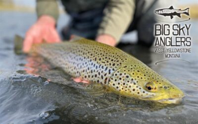 BIG SKY ANGLERS WEEKLY FISHING REPORT – 10/21/2021