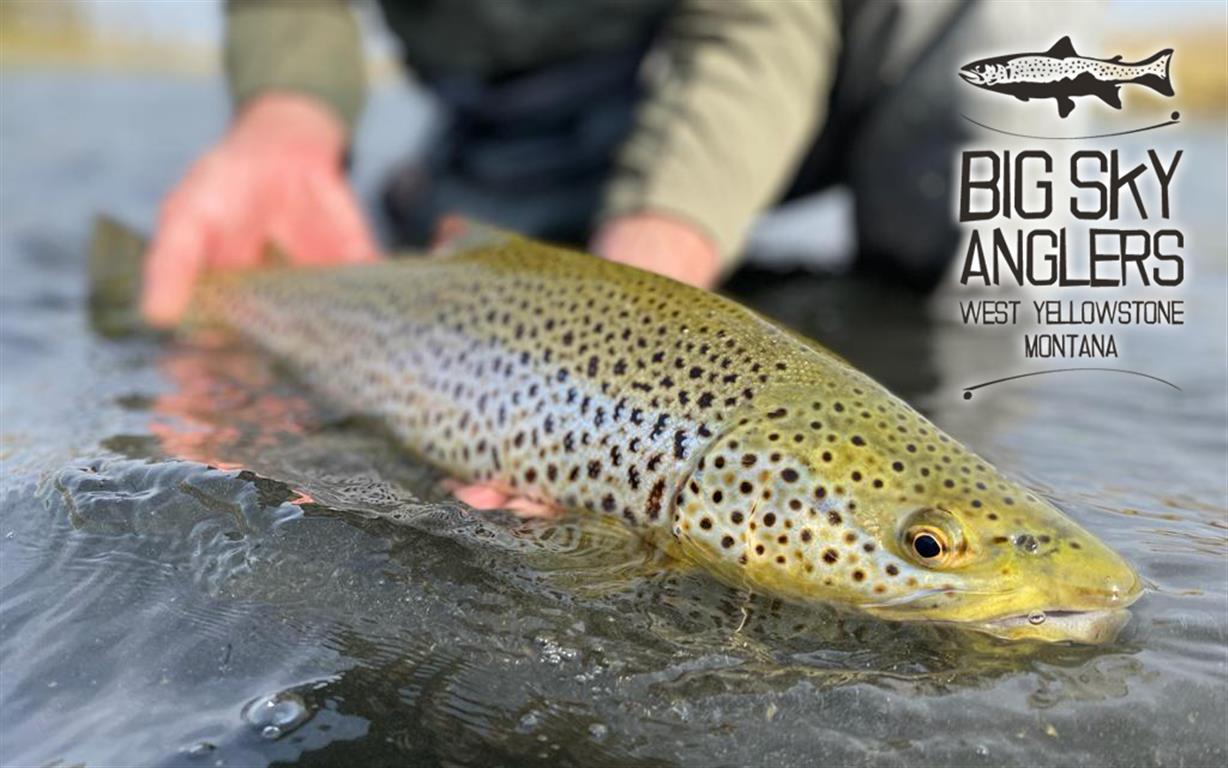 10212021-Report-Banner-Medium