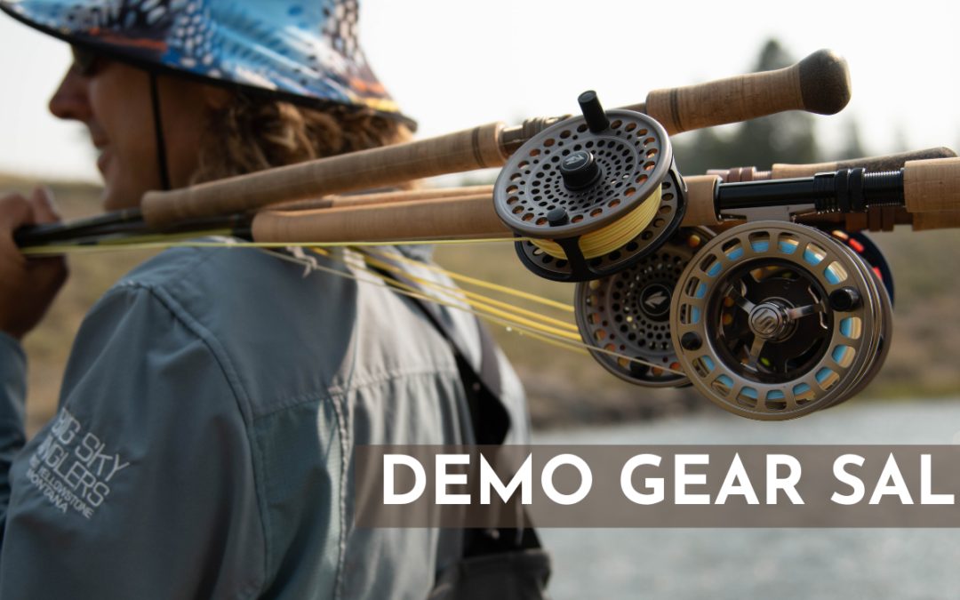 2021 Demo gear sale
