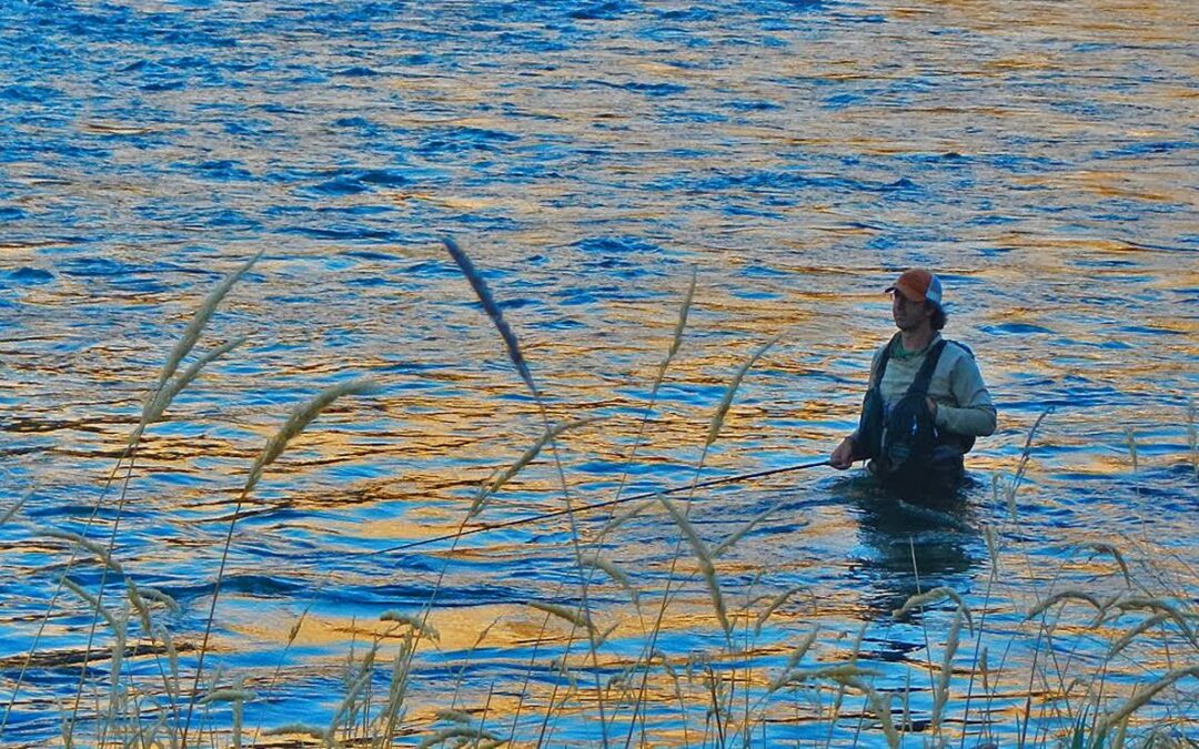 Wild Steelhead – Now or Never