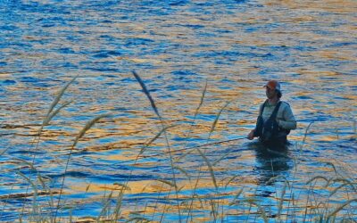 Wild Steelhead – Now or Never