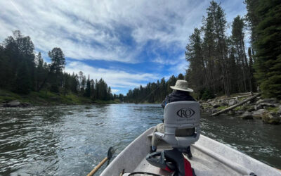 Big Sky Anglers Weekly Fishing Report – 6/16/2022