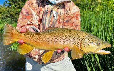 Big Sky Anglers Weekly Fishing Report – 6/23/2022